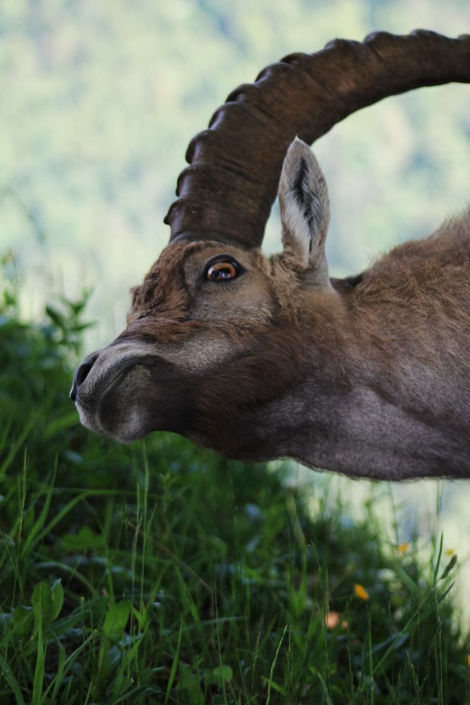 Photograph by Диана Ульянцева