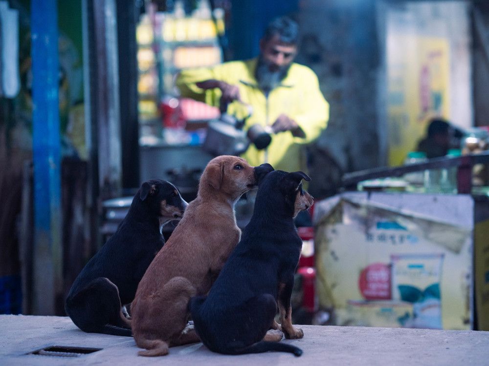 Photograph by Najmul Huda
