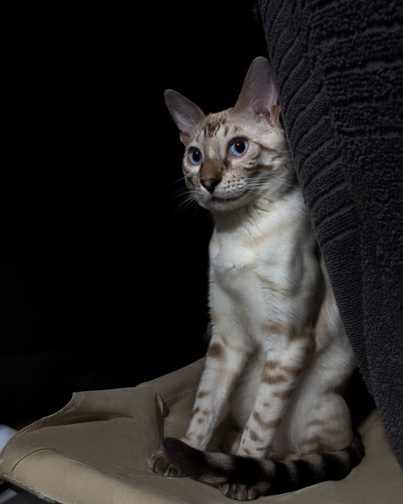 Photograph by Илья Володьков