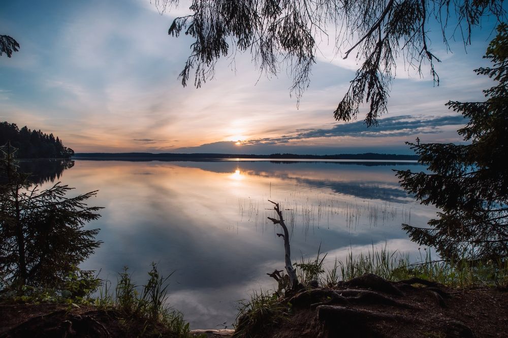 Photograph by Елена Раздвилова