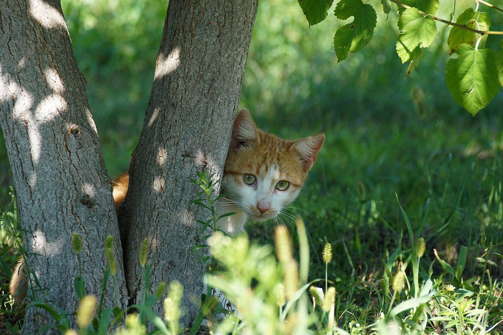 Photograph by Михаил Рассказ