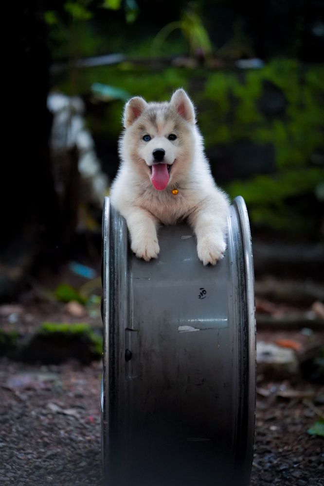 Photograph by Nath Sai