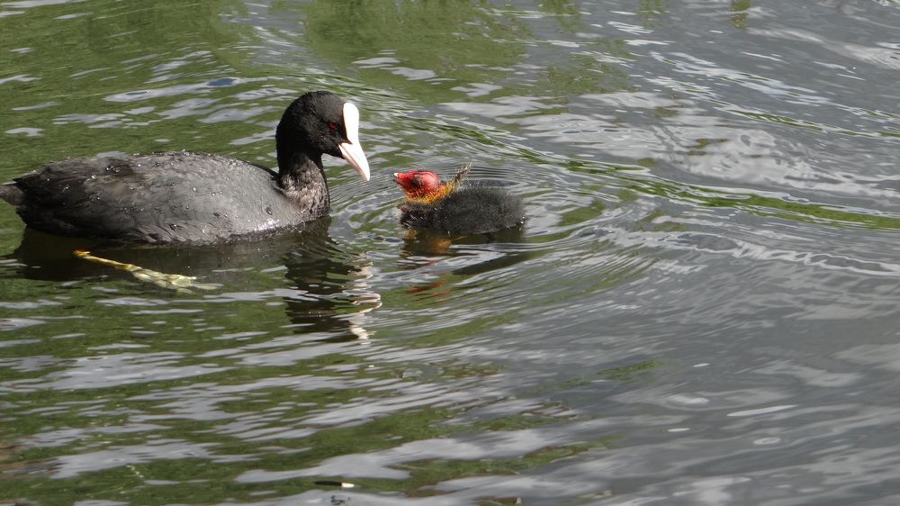 Photograph by olga Diakova