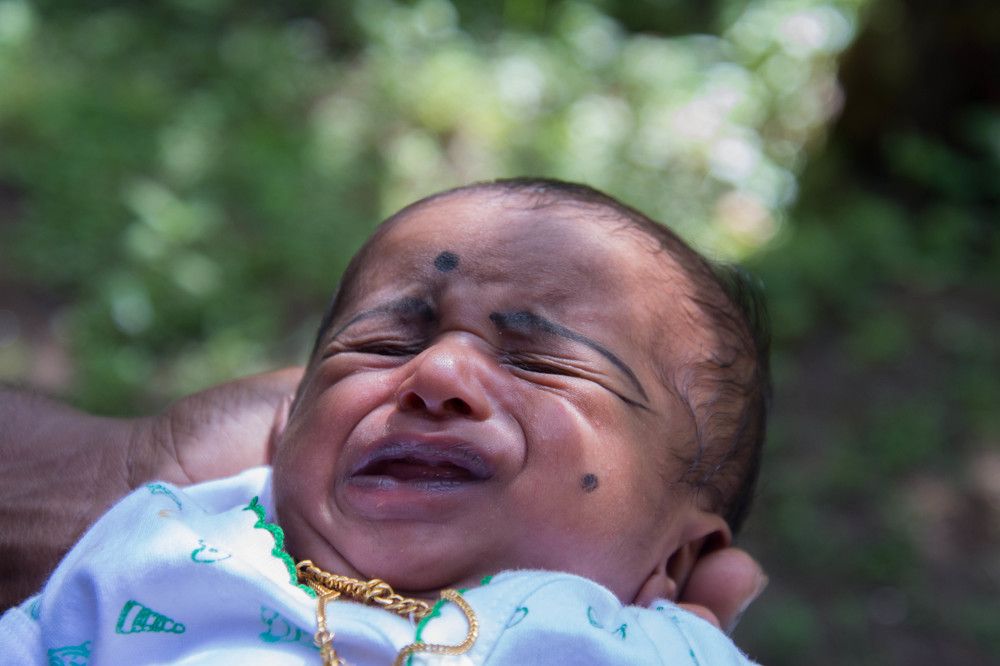 Photograph by Ampady Sugathan