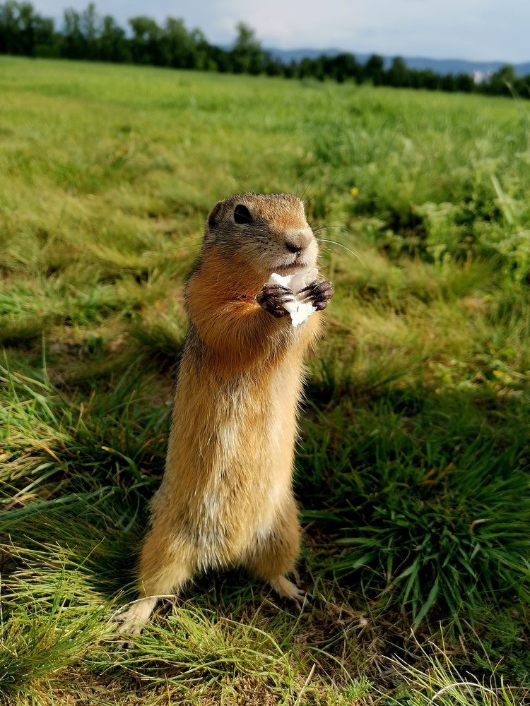 Photograph by Сергей Подлевский