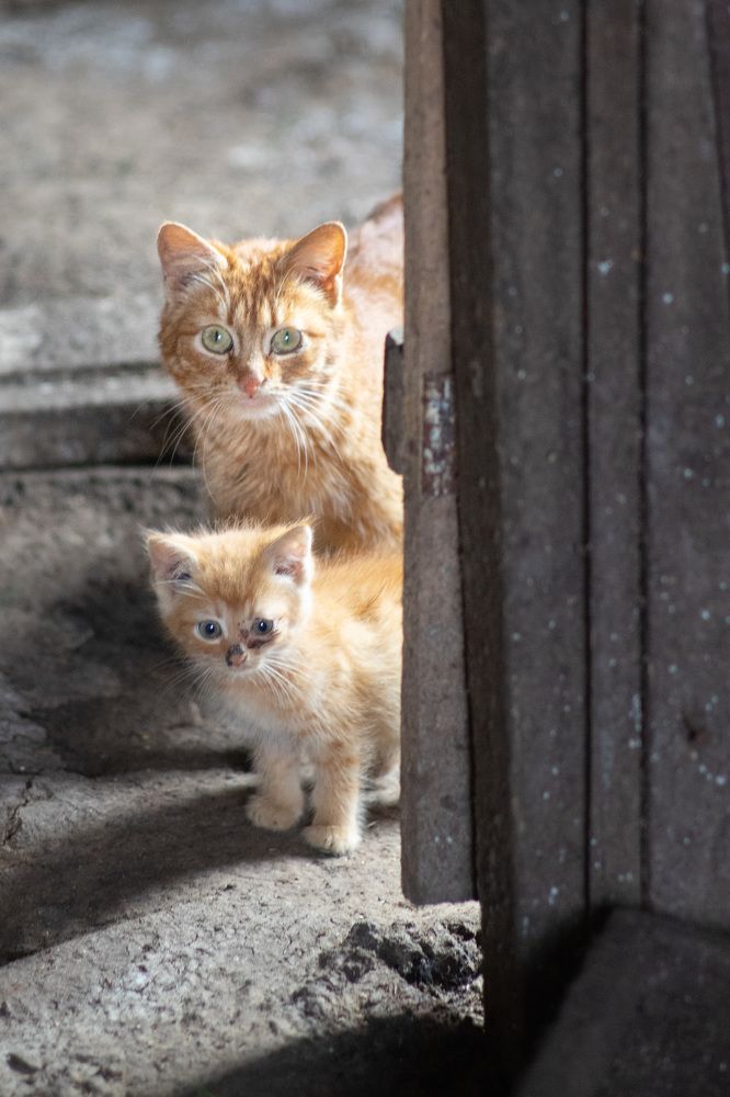 Photograph by Сергей Забиякин