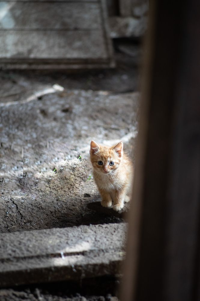 Photograph by Сергей Забиякин