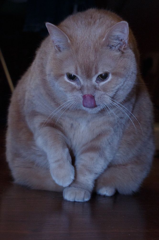 Photograph by Алексей Николаев