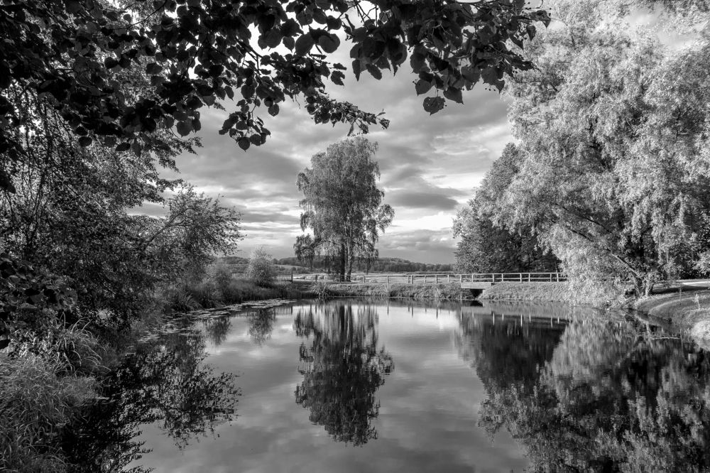 Тихий вечер у пруда