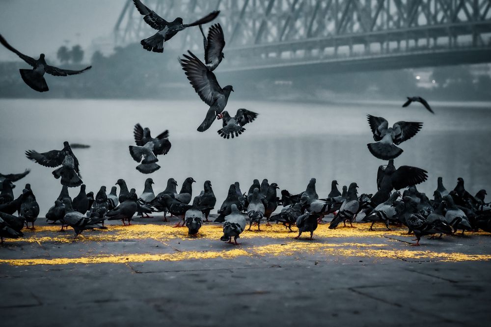 Photograph by Shouvik Datta