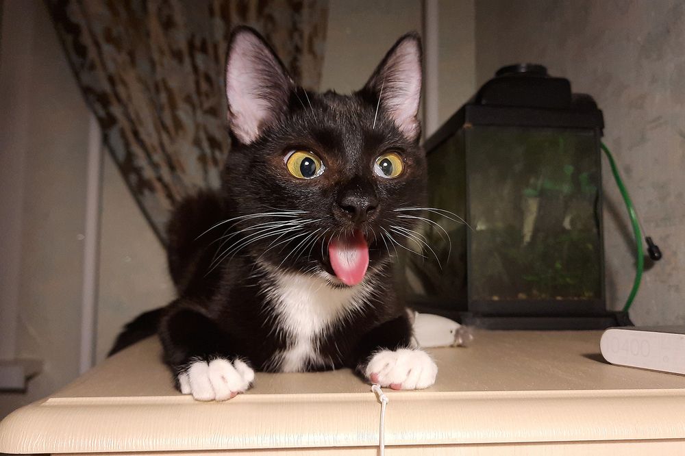 Photograph by Михаил Рассказ