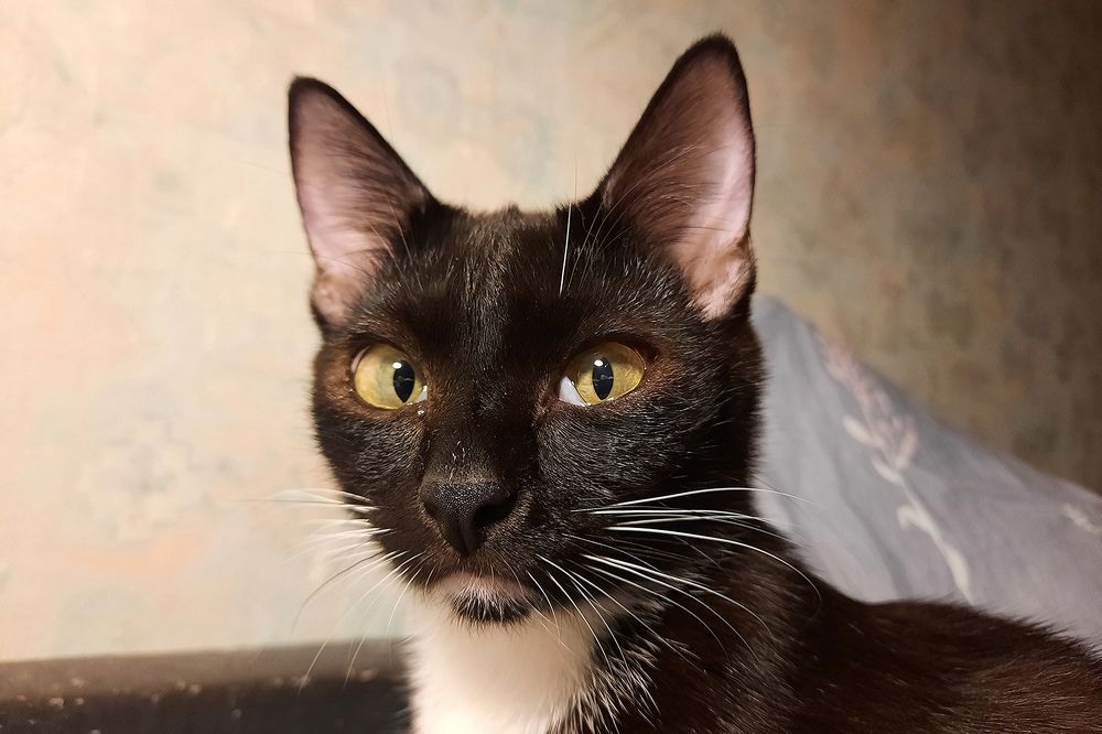 Photograph by Михаил Рассказ