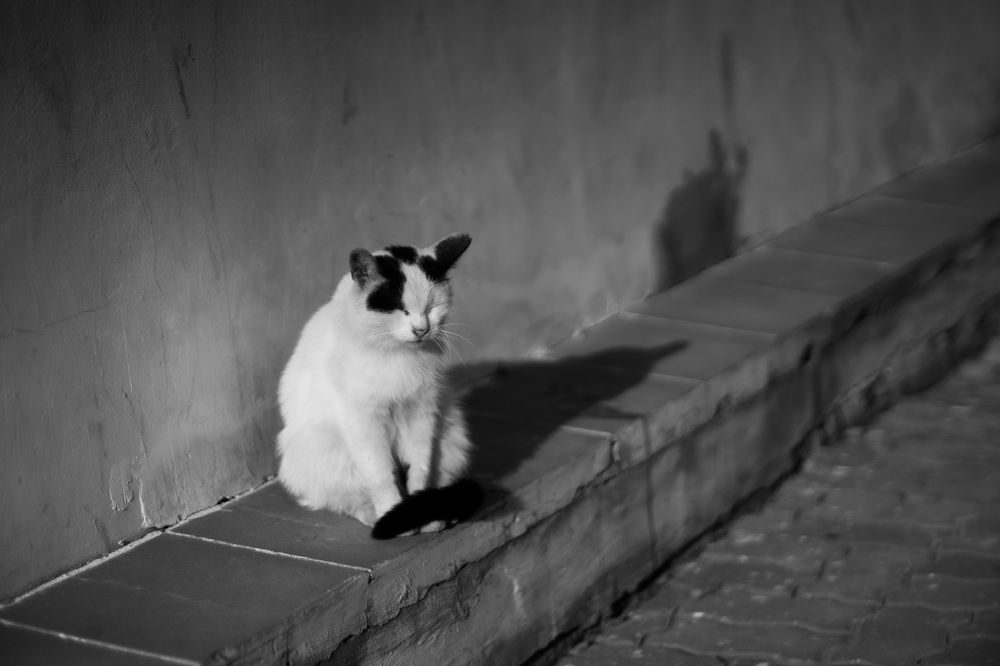 Photograph by Сергей Забиякин