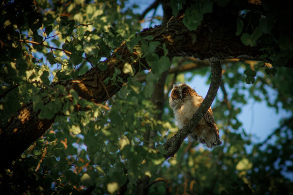 Photograph by Вера Голицына