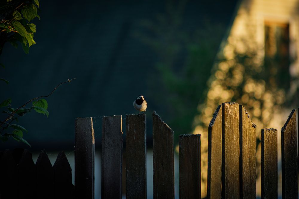 Photograph by Вера Голицына