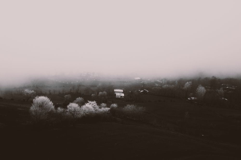 Photograph by reza lashgari