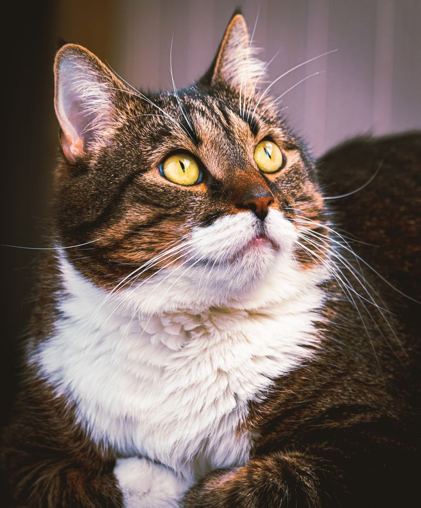 Photograph by Парфентьев Антон