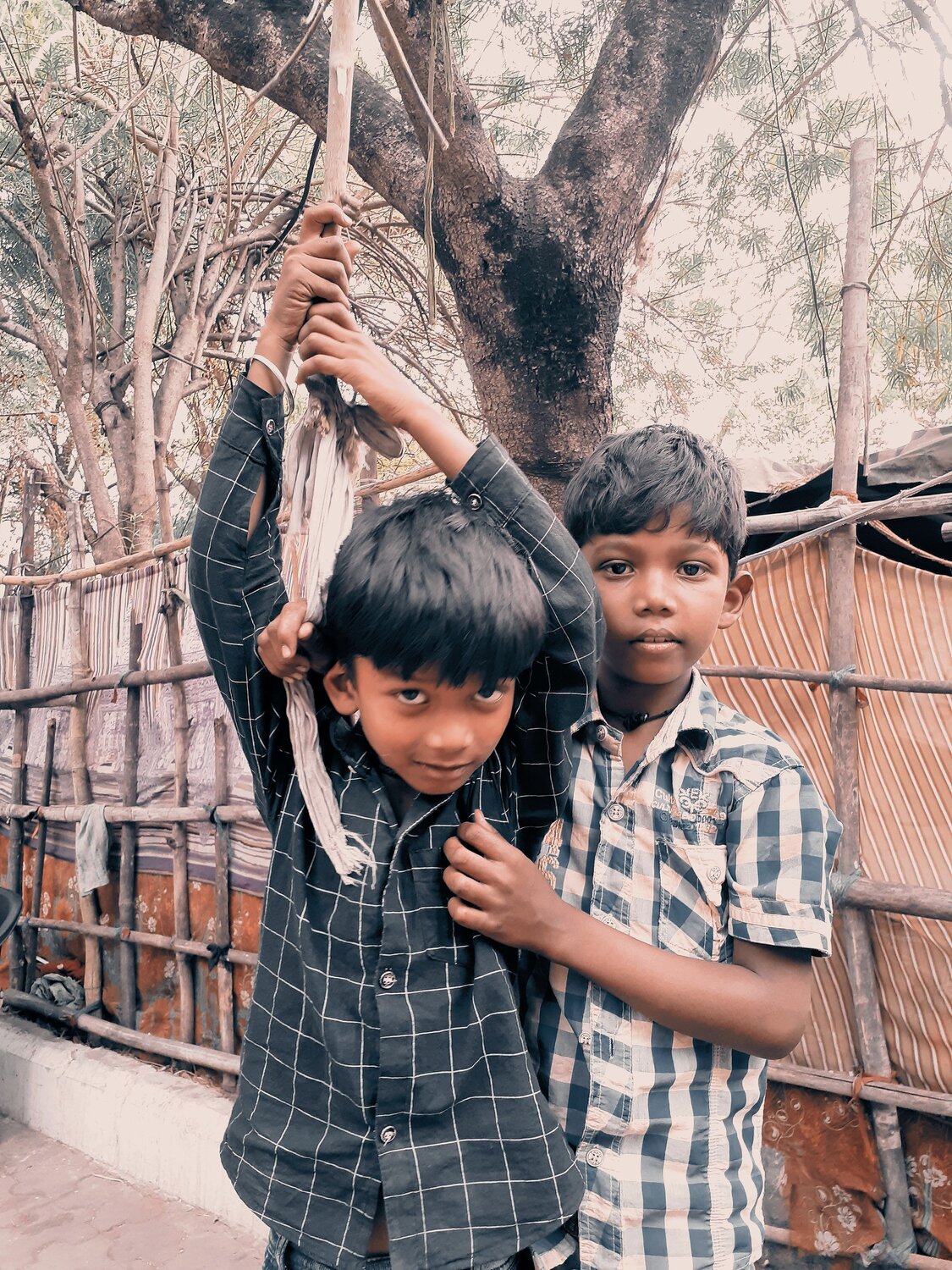 Photo #7690309