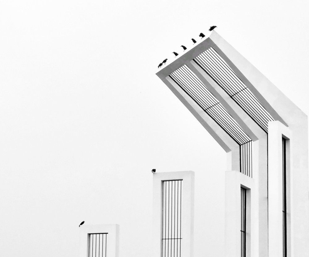 Birds on Shaheed Minar