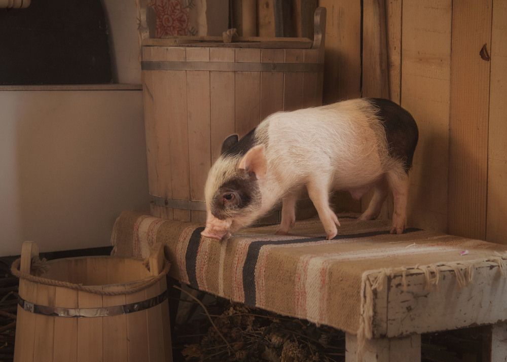 Photograph by Ольга Лобачёва