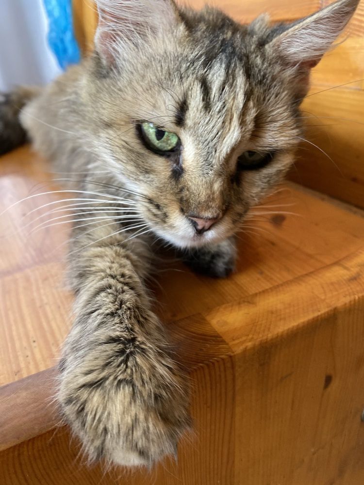 Photograph by Antonina Zazulina