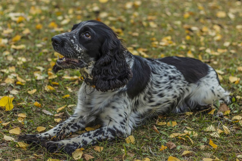 Photograph by Валерий Шорохов