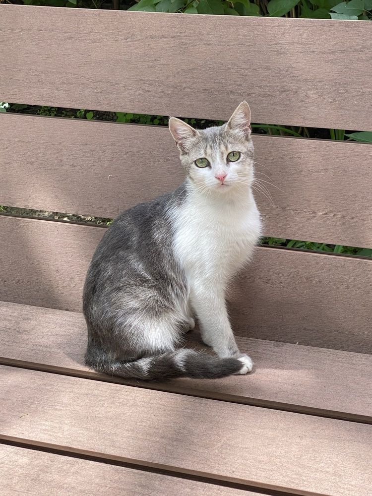 Photograph by Antonina Zazulina