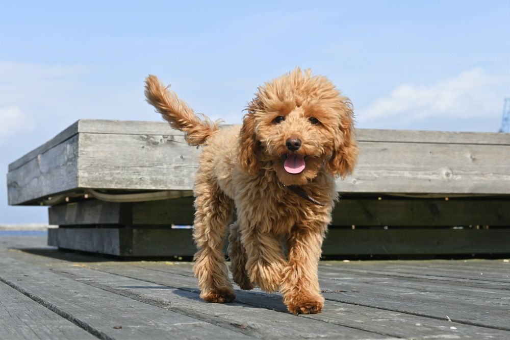 Photograph by Antonina Zazulina