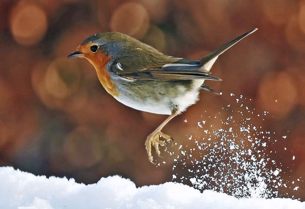 Photograph by Laroy Rony