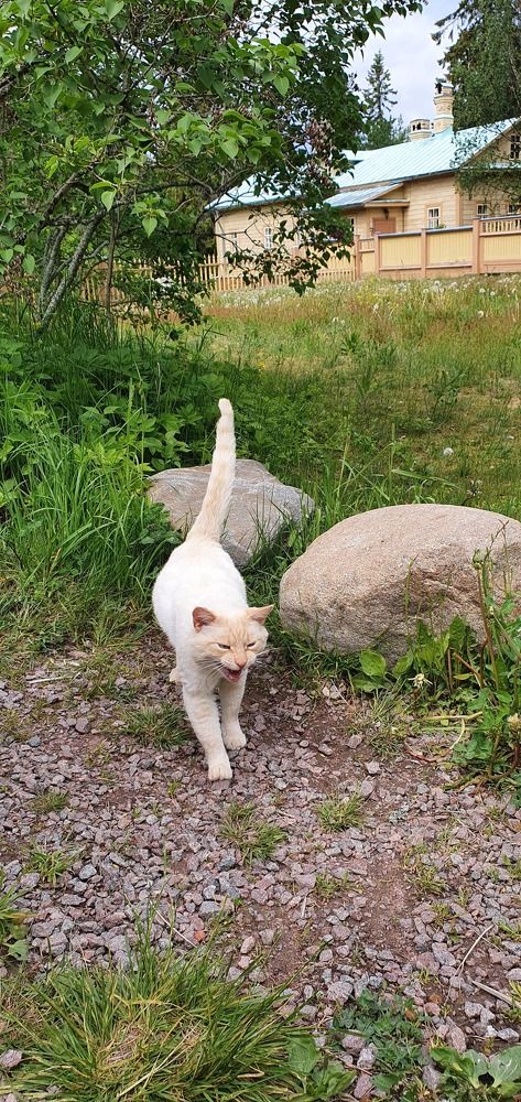 Photograph by Татьяна Мельникова