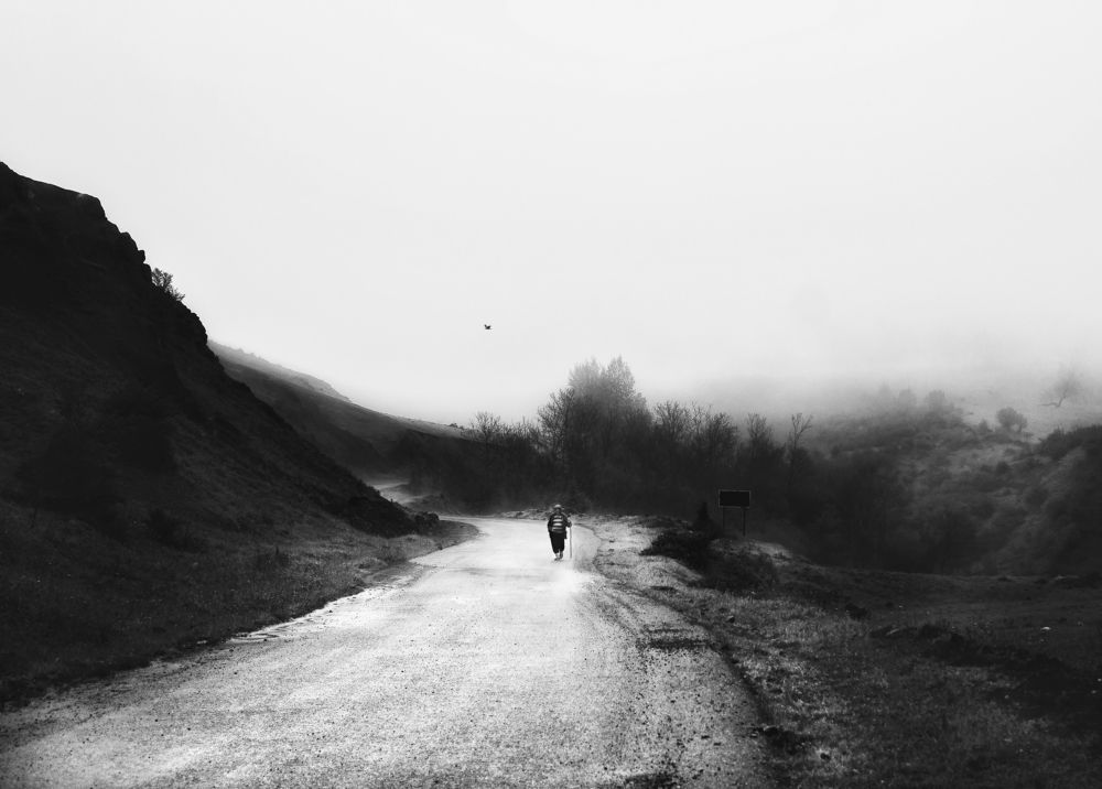 Photograph by reza lashgari