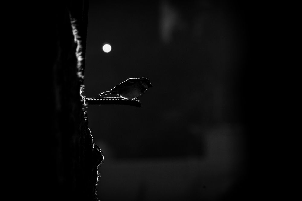 Photograph by Nath Sai