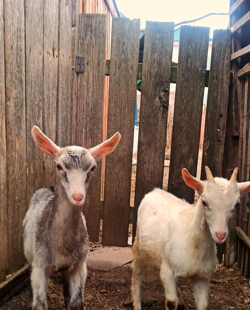 Photograph by Сергей Симаков