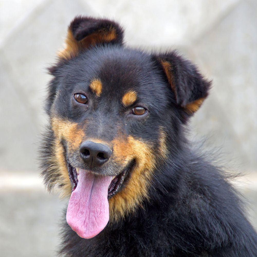 Photograph by Павел Колеснев