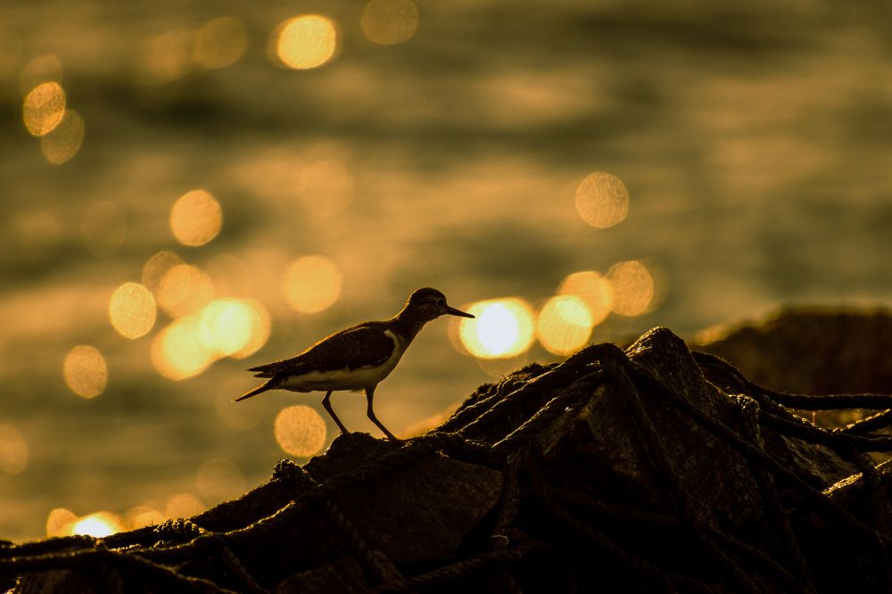 Photograph by Nath Sai