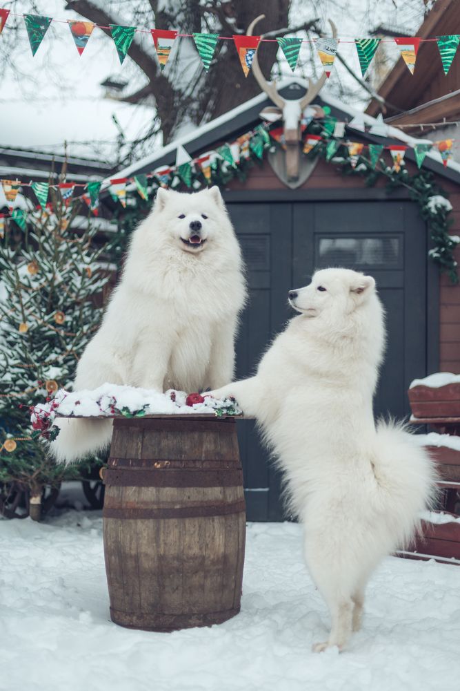 Photograph by Ольга Лобачёва