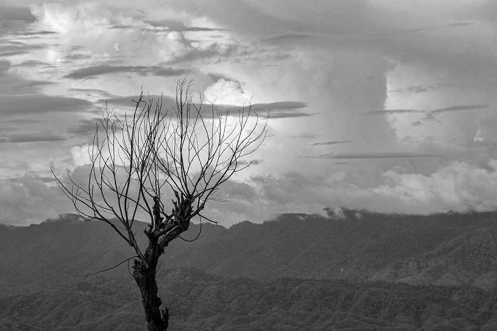 Photograph by Hriday Das