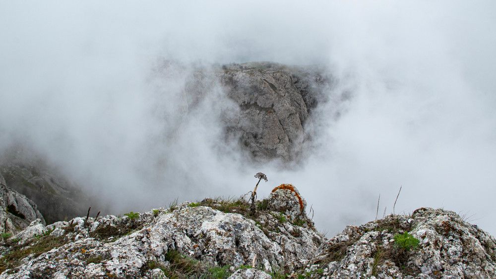 Photograph by Vladimir