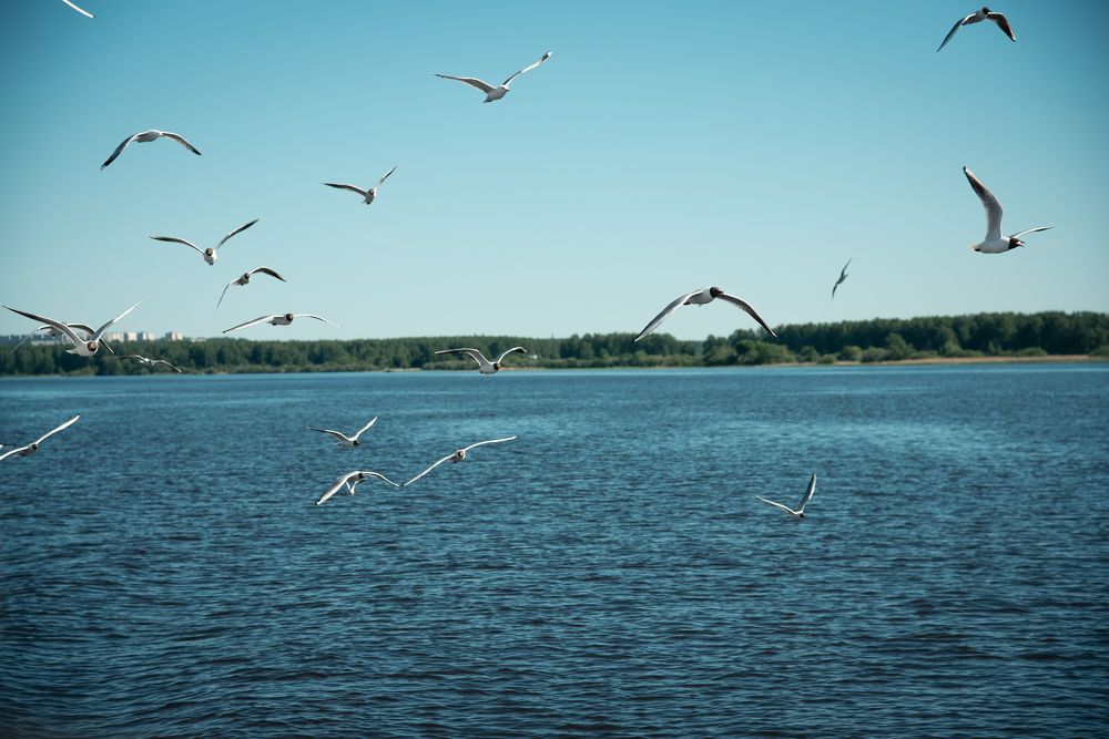 Фотография автора Войнов Дмитрий