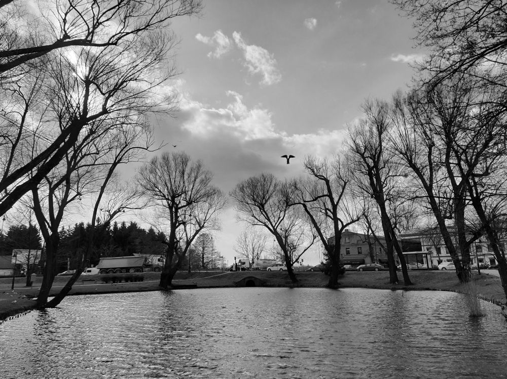 Photograph by Диана Тимошенко