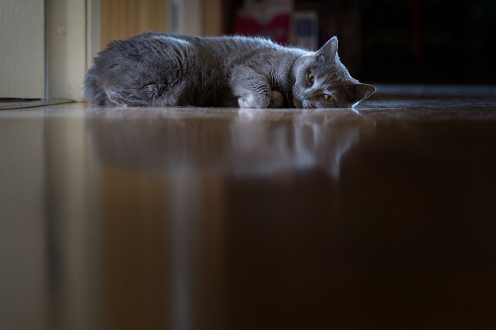 Скучно мне...