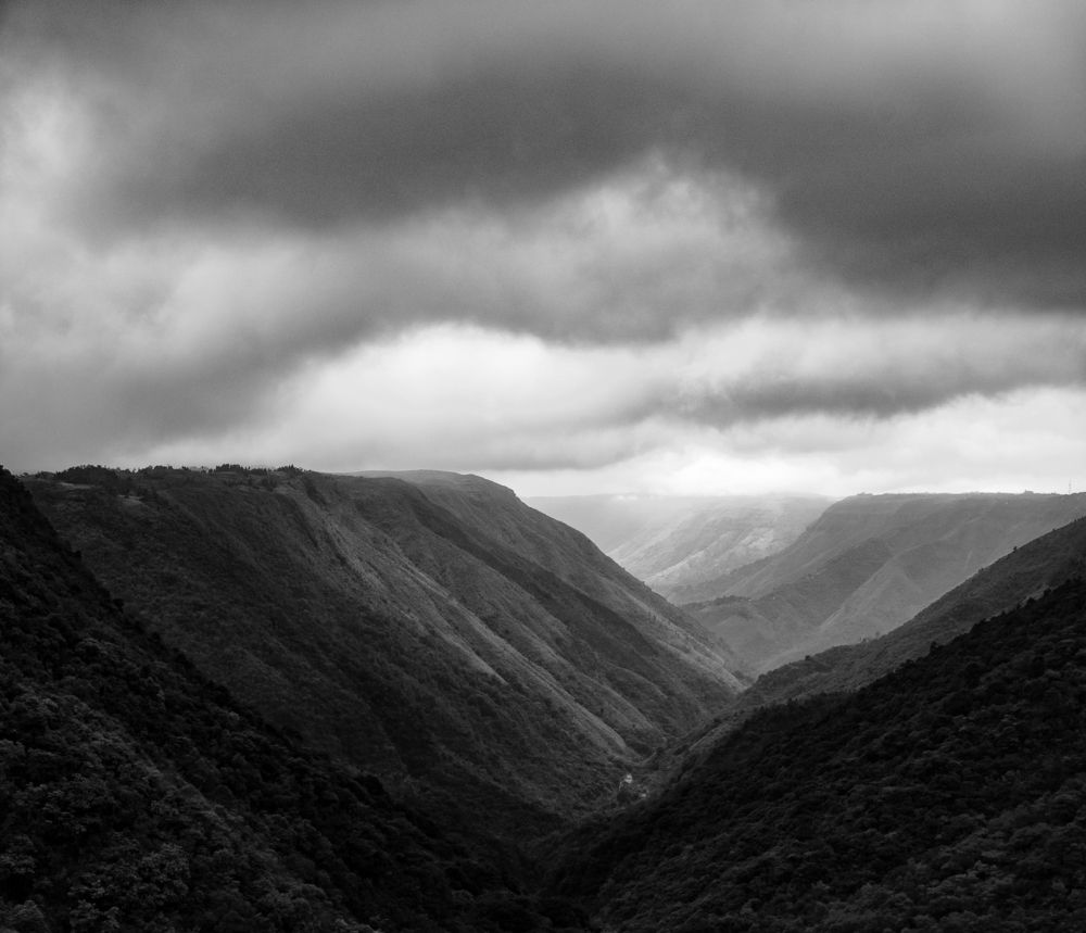 Monochromatic daylight