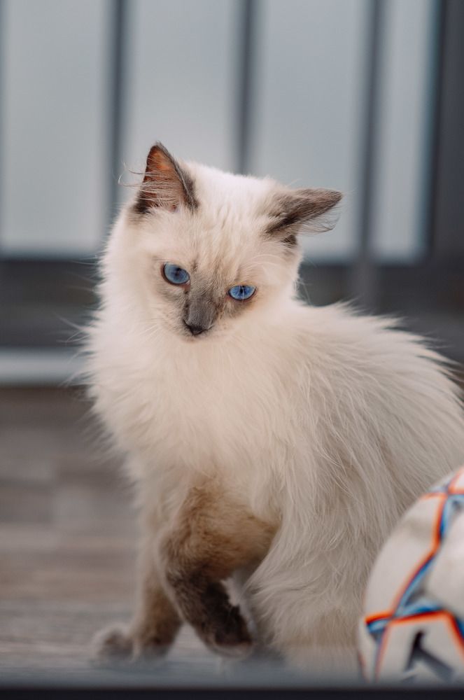 Photograph by Анна Смирнова