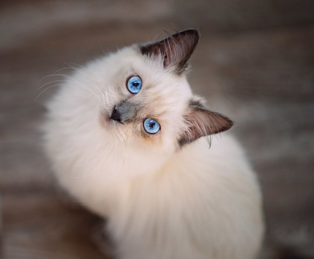 Photograph by Анна Смирнова