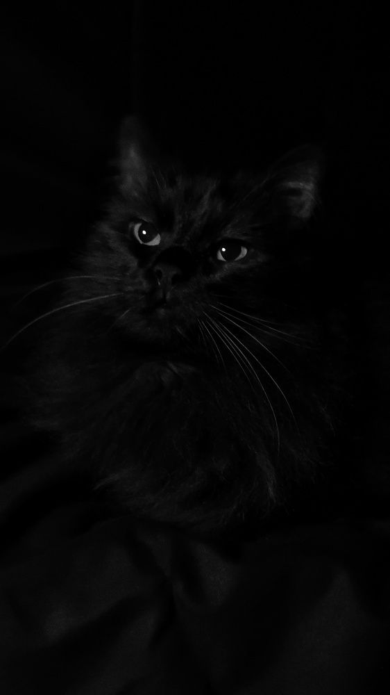 Photograph by Елена Акимова