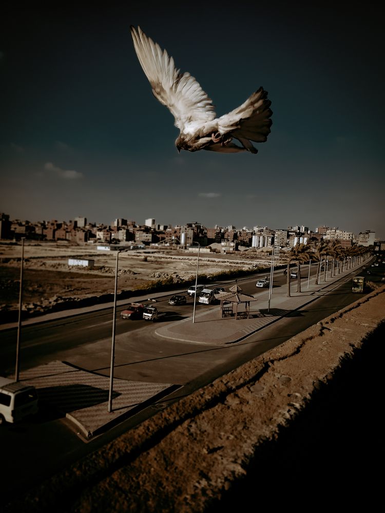 Photograph by akrm elgndy