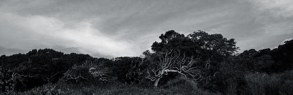 Photograph by THANUSSANTH THARMAPALAN