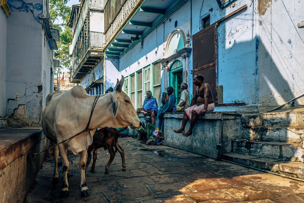 Photograph by Nath Sai