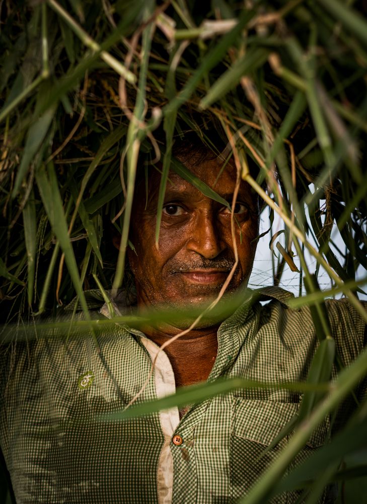 Photograph by Shouvik Datta