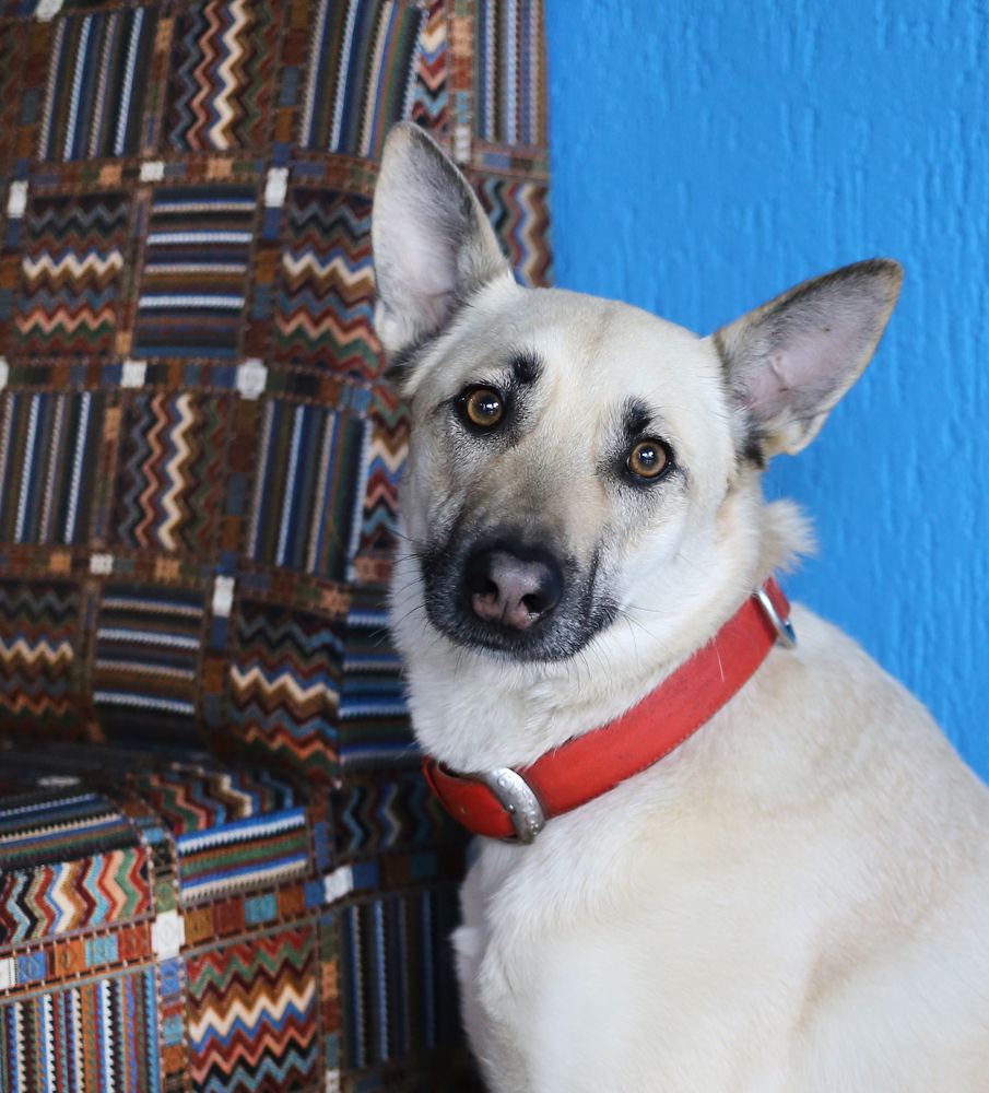 Фотография автора Ольга Матусевич